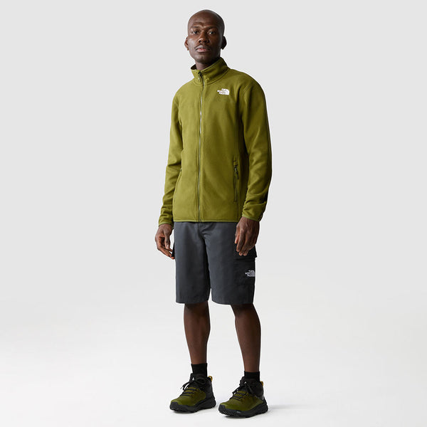 THE NORTH FACE MEN'S 100 GLACIER FULL-ZIP FLEECE