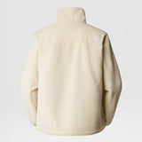 THE NORTH FACE MEN'S RIPSTOP DENALI JACKET